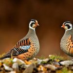 can you keep quails indoors