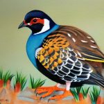 Breeding Rain Quail: A Guide to Successfully Raising These Fascinating Birds