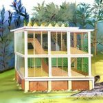 Constructing Quail Breeding Cages: A Step-by-Step Guide to Building Your Own Aviary