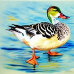 Discover the Top Duck Breeds to Welcome into Your Home as Loving Pets