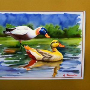 Discover the Exciting Variety of Duck Breeds Sold at Tractor Supply