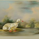 Discover the Fascinating World of Duck Dog Breeds