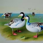 Discover the Fascinating World of Domestic Duck Breeds