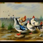 Discover the Fascinating World of Poultry Duck Breeds