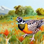 Discover the Secrets of Successful Quail Breeding: Tips and Techniques for Success