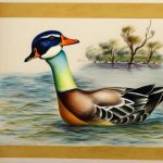 Discover Unique and Rare Duck Breeds