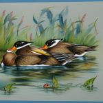 When Do Ducks Get Busy? A Look at Breeding Season