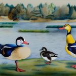 Exploring the Beauty and Diversity of English Duck Breeds