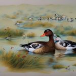 Exploring the Diversity of Duck Breeds With a Detailed Chart
