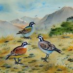 Exploring the Fascinating Breeds of Quail in India