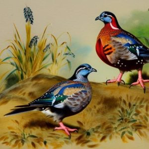 Exploring the Fascinating Traits of Quail Breeds