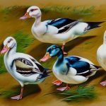 Exploring the Fascinating World of Domestic Duck Breeds