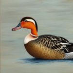 Exploring the Fascinating World of Female Duck Breeds: An Insightful Guide