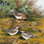 Exploring the Fascinating World of Quail Breeds: A Comprehensive Guide
