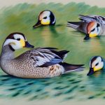 Exploring a Variety of Duck Breeds: A Guide to Assorted Ducks