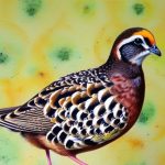 The Fascinating World of Quail Breeds: A Visual Guide with Pictures