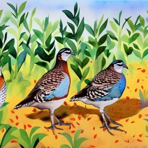 Maximizing Profit: A Guide to Breeding Quail for Profit