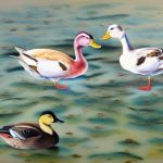 Uncovering the Mysteries of Duck Breeds: Identifying and Differentiating Various Species