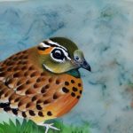 Unlock the Secrets of Chinese Button Quail Breeding: A Comprehensive Guide
