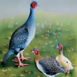 Unlocking the Secrets of Breeding Guinea Fowl in the UK: A Comprehensive Guide