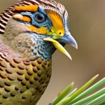 Unveil the Hidden Tips for Thriving with Coturnix Quail: Secrets to Successful Care