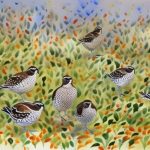 Unveiling the Impact of Line Breeding Rights on Quail: How does it Really Affect Them?