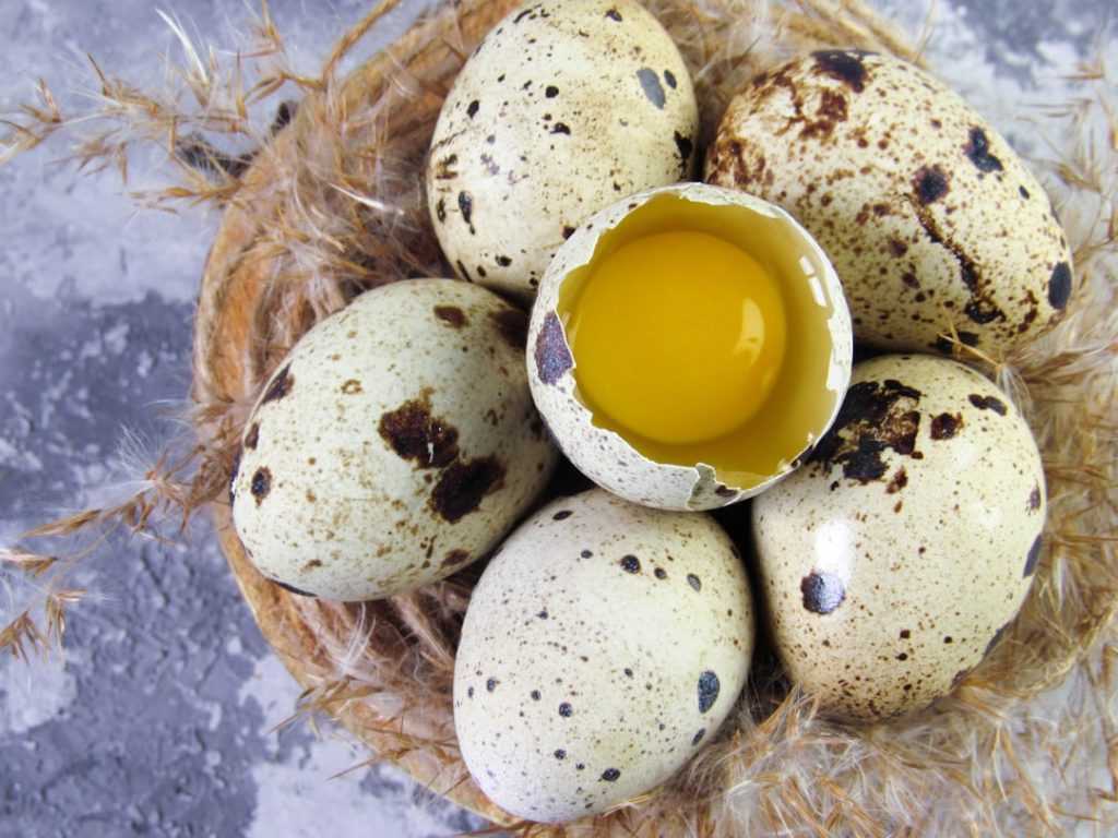 Photo Quail eggs