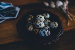 Photo quail eggs