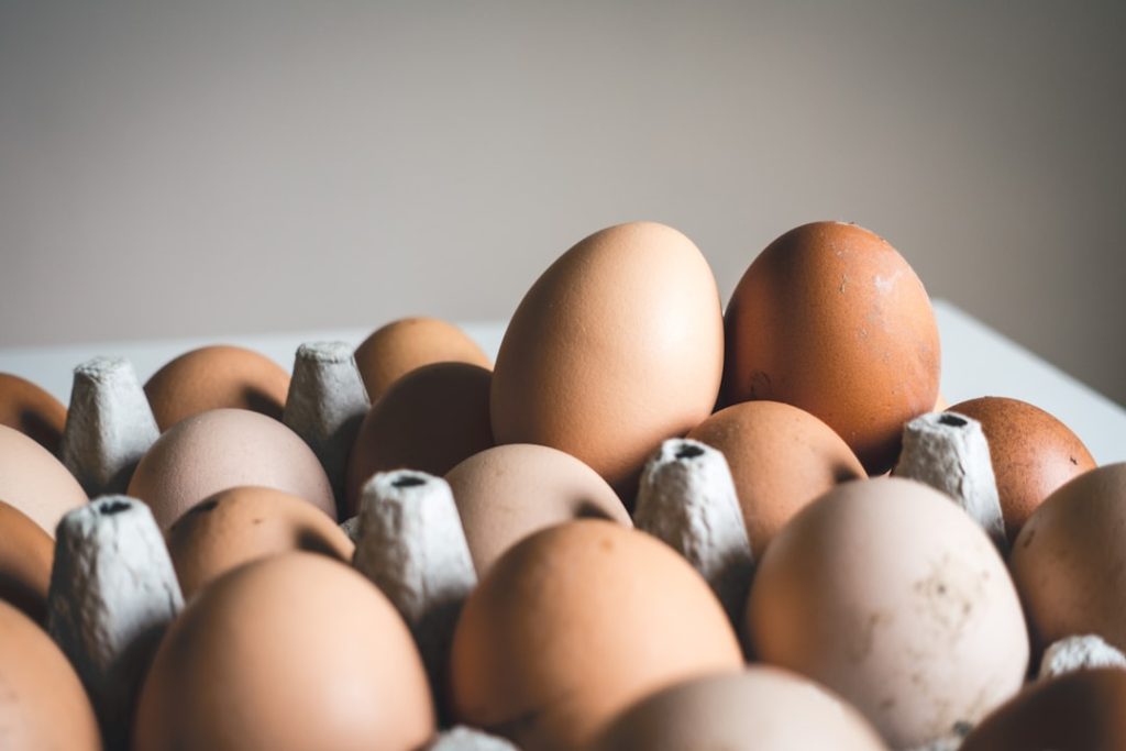 Photo Bobwhite quail, eggs