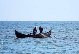 Photo Fancy Cochin