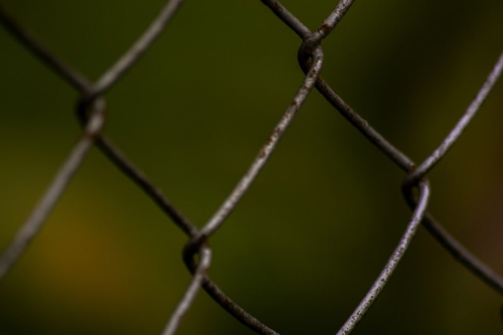 Photo Chicken wire