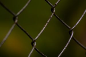 Photo Chicken wire