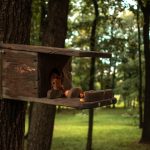 Photo Nesting box