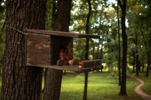 Photo Nesting box