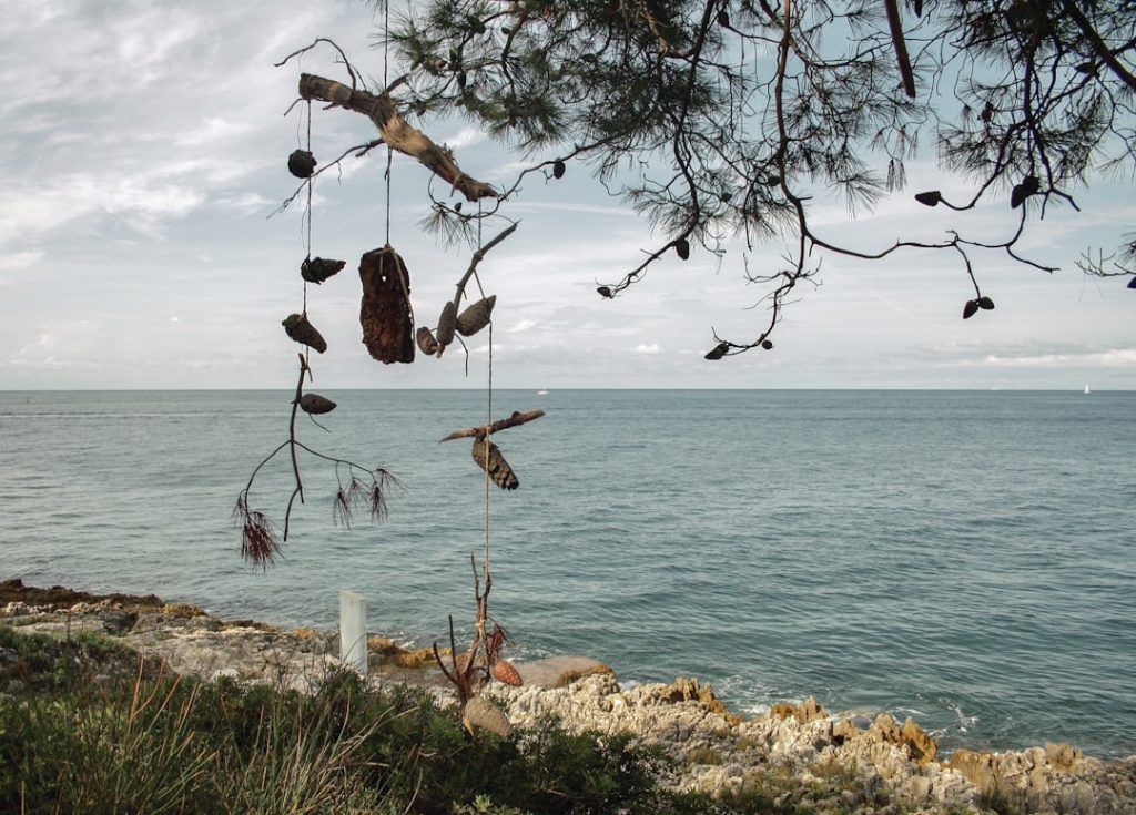 Photo Bird netting