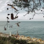 Photo Bird netting