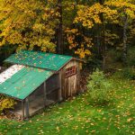 Photo Chicken coop