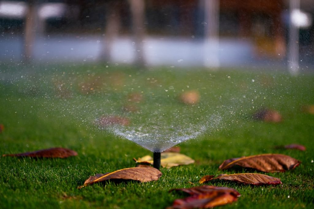 Photo Motion-activated sprinkler