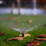 Photo Motion-activated sprinkler