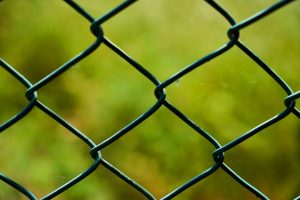 Photo Garden fence