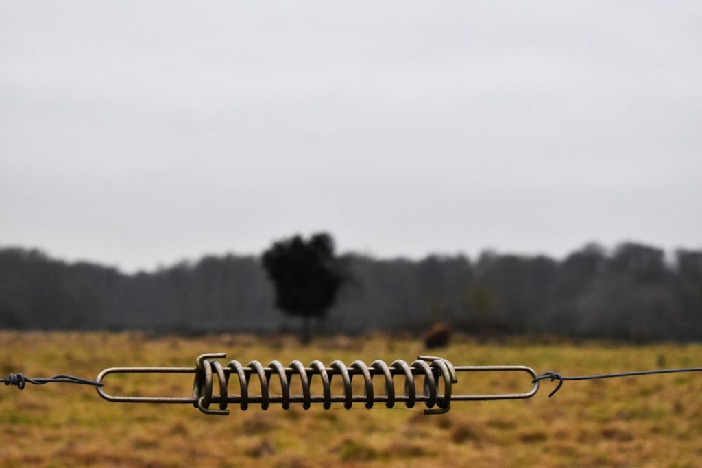 Photo Electric fence