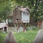 Photo Backyard coop