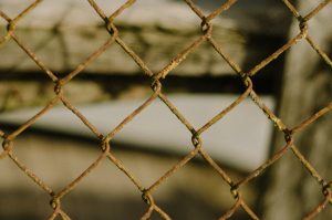 Photo Fence and netting