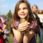 Photo Chick in incubator