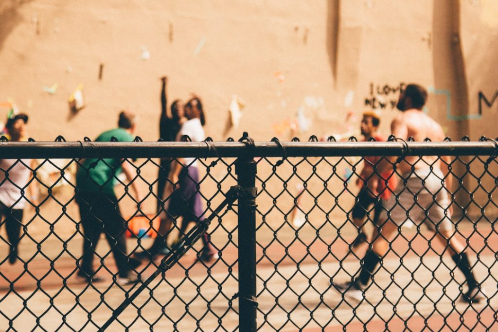 Photo Fence with netting