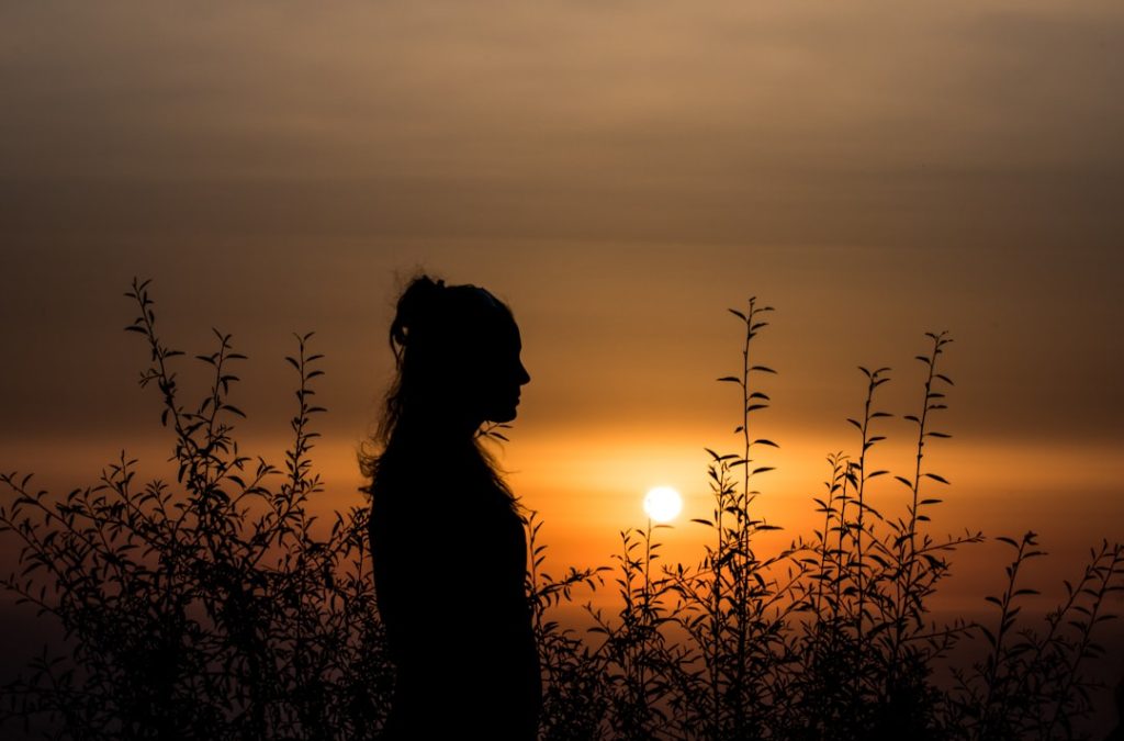 Photo Hawk silhouette