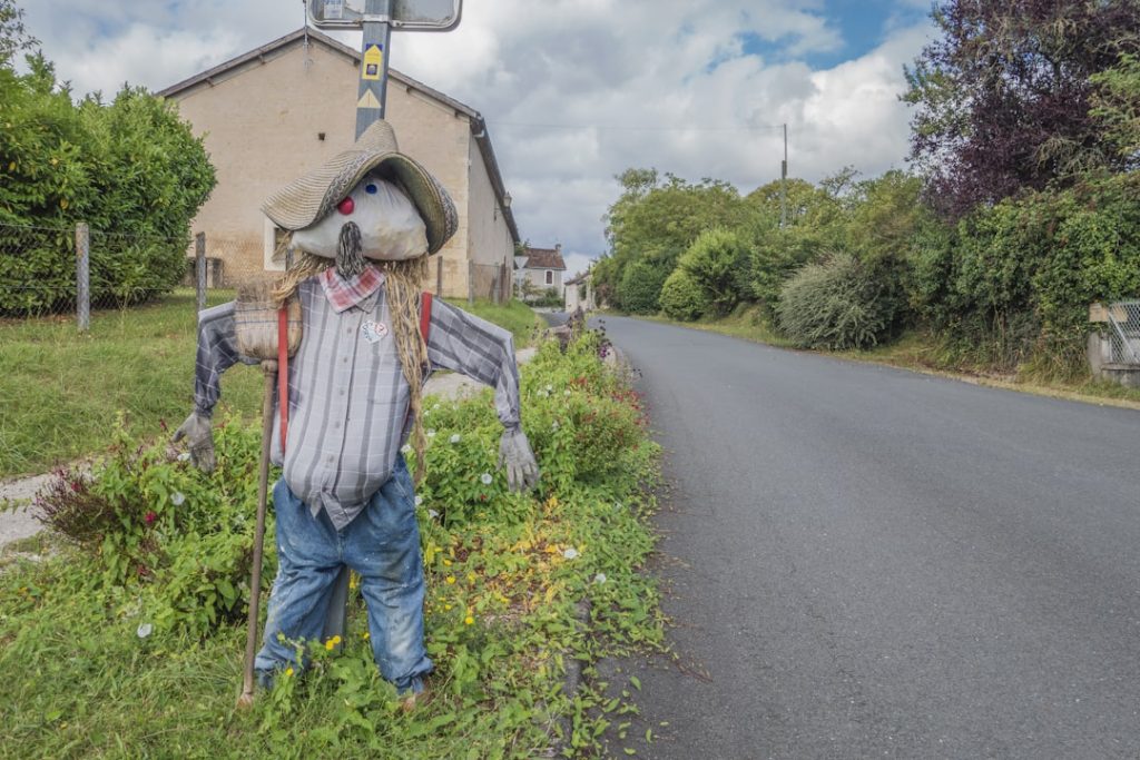 Photo Scarecrow