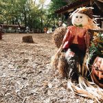 Photo Scarecrow deterrent