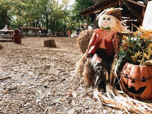 Photo Scarecrow deterrent