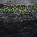 Photo Urban farming